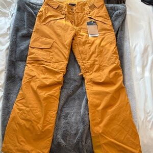 NWT Women’s North Face Freedom Insulated Ski Pants M/Reg